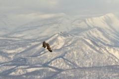 hokkaido-1-17