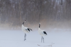 hokkaido-1-2