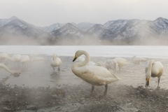 hokkaido-1-4