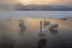 hokkaido-1-5