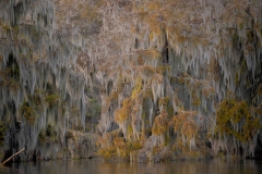 louisiana-1-10