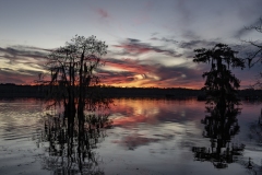 louisiana-1-11