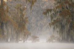 louisiana-1-13