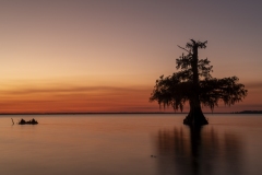 louisiana-1-14