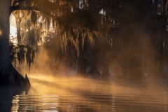 louisiana-1-2