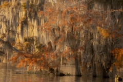 louisiana-1-9