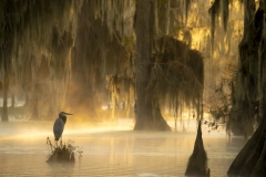 louisiana-1