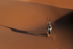namibia-1-13