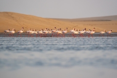 namibia-1-14