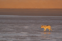 namibia-1-18