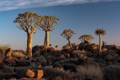 namibia-1-2