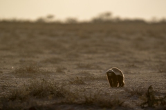 namibia-1-30
