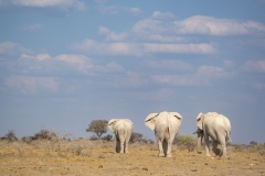 namibia-1-38
