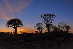 namibia-1