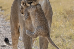 namibia-1-21