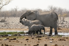 namibia-1-24