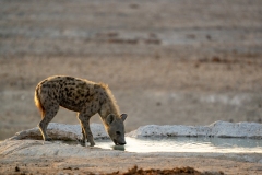 namibia-1-27