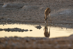 namibia-1-28