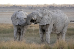 namibia-1-37