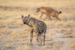 namibia-1-39
