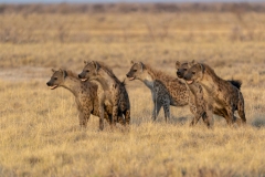 namibia-1-40