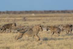 namibia-1-42