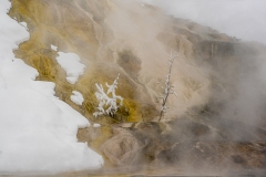 yellowstone-1-26