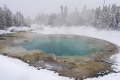 yellowstone-1-5