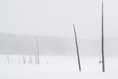yellowstone-1-7